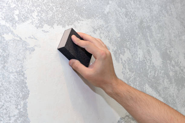 Mold Documentation for Insurance Claims in North Boston, NY
