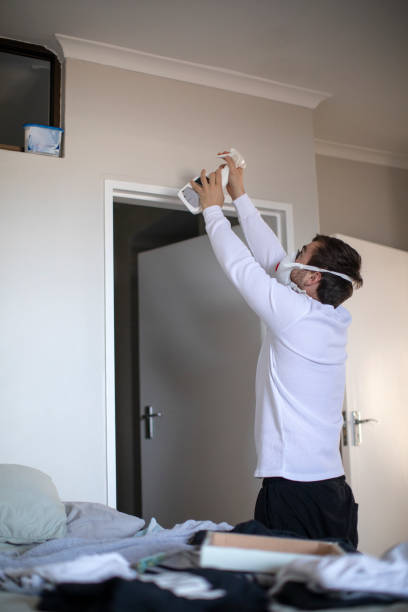 Best Emergency Mold Remediation  in North Boston, NY
