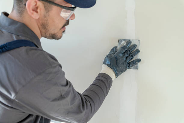Best Environmental Consulting for Mold Prevention  in North Boston, NY