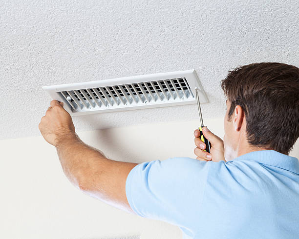 Best Mold Documentation for Insurance Claims  in North Boston, NY