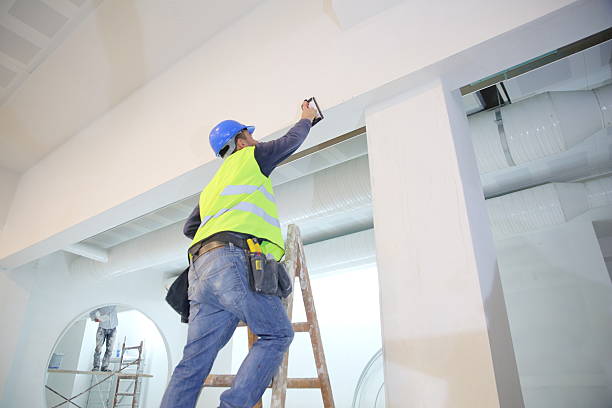 Trusted North Boston, NY Mold Removal Experts