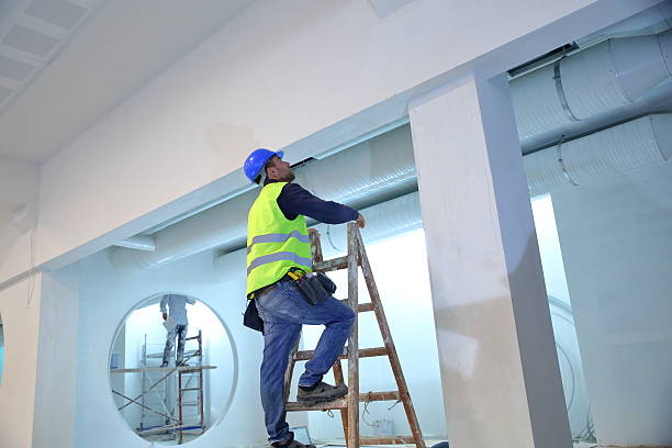 Best Forensic Mold Investigation  in North Boston, NY