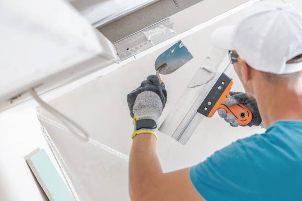Best Mold Odor Removal Services  in North Boston, NY